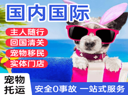 青山机场货运国际宠物托运 【国